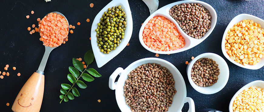 Daily Dose Of Delicious Protein