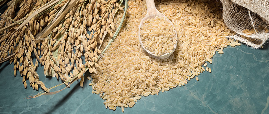 Whole-Rice-Grains Whole-Rice-Grains