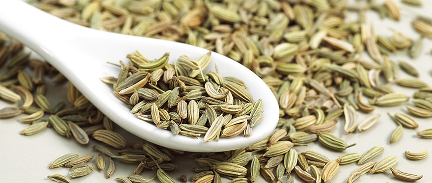 Benefits of Fennel