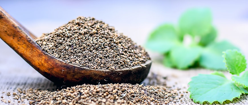 Ajwain- Indian Spices