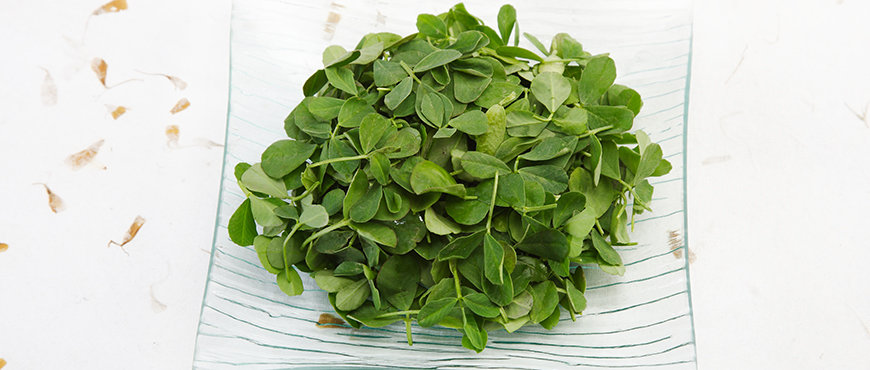 Fenugreek leaves - Indian Spices