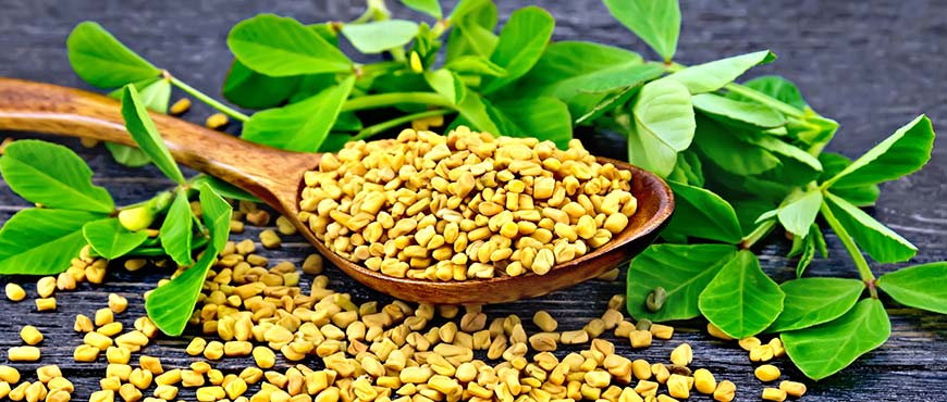 Fenugreek Seeds and Leaves