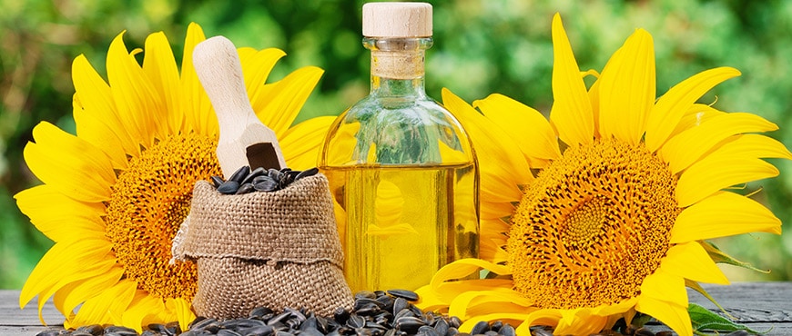 Choose Organic Cooking Oils This Year and Enjoy Great Taste and Better Health! 2 Sunflower Oil
